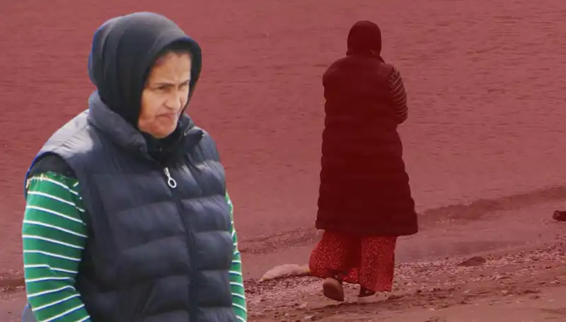 132 Gündür Aynı Yerde Bekleyen Kedi, Sahil Havasını Değiştiriyor!