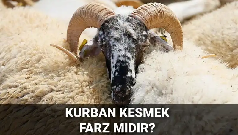 Kurban Kesmek Farz mı? Diyanet’ten Önemli Açıklamalar ve Şartlar