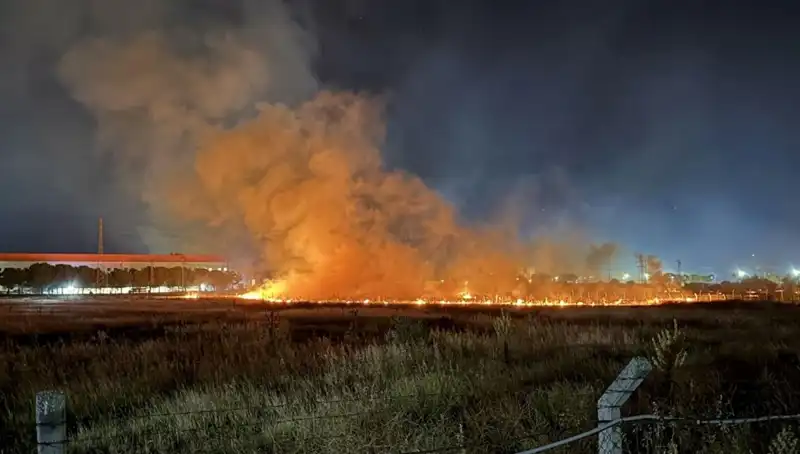 İzmir'de Gece Yarısı Yangın Paniği: Vatandaşlar Ne Yapacağını Şaşırdı!