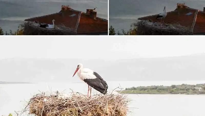 Yaren Leylek Türkiye'de Depremin Gelişini Nasıl Hissetti?