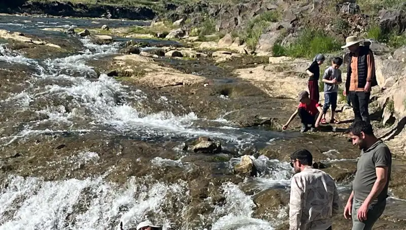 İnci Kefalinin Büyüleyici Göçü: Doğa Harikası Turist Akınına Neden Oldu