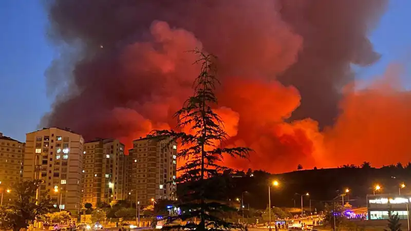 Bursa'da Yangınlar Şehri Sarmaladı: Son Durum ve Etkileri Neler?