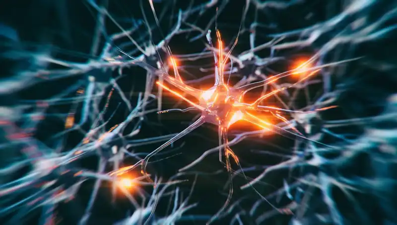 Alzheimer Vakalarında Şok Artış! Sebepler ve Etkileri Neler?