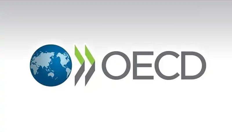 OECD'nin Türkiye İçin Büyüme Tahmini: Ekonomik Beklentiler ve Gerçekler