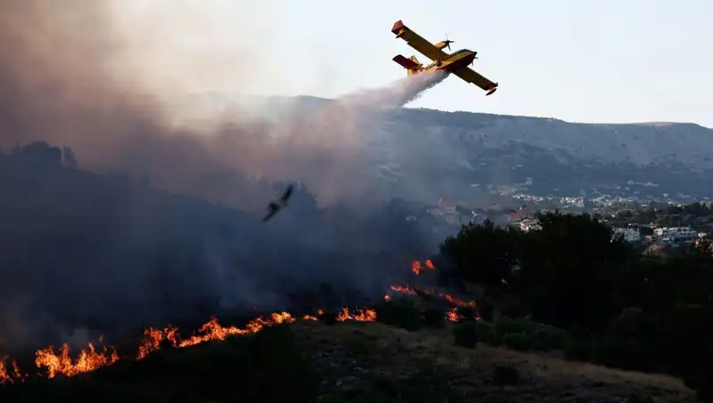 Sakız Adası'ndaki Orman Yangını: Doğa ve Hayat Mücadele Ediyor
