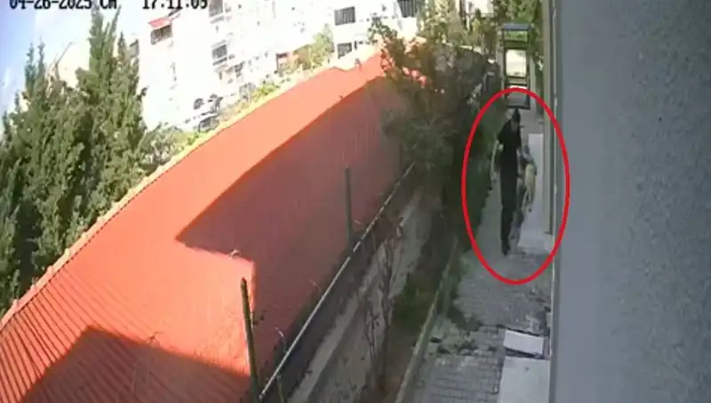 Veteriner Doktorun Şok Edici Köpek Davası: Evdeki Hayvanlara Ne Oldu?