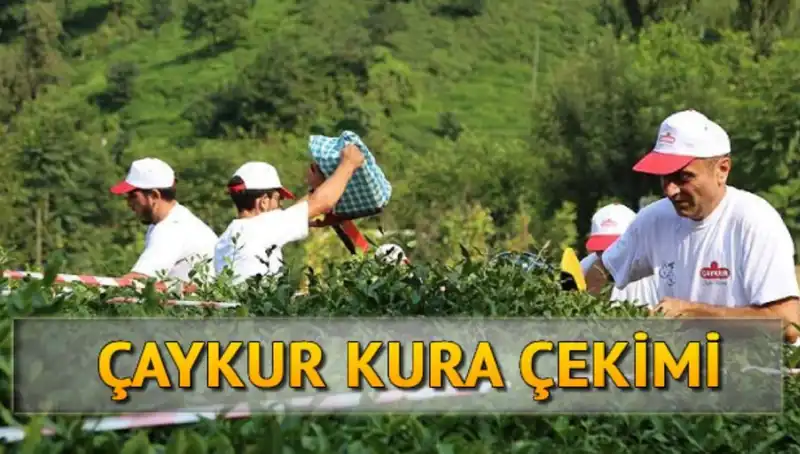 Çaykur Canlı Kura Sayfası: Çekiliş Sonuçları Nasıl Takip Edilir?