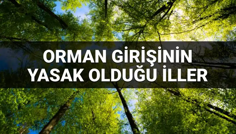 2025'te Ormana Girişin Yasaklandığı İllerin Tam Listesi Açıklandı!