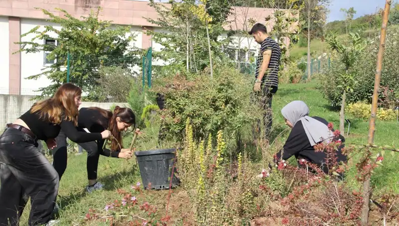 Düzce’den Dünyaya Uzanan Başarı Hikayesi: Hayal Gerçek Oldu!