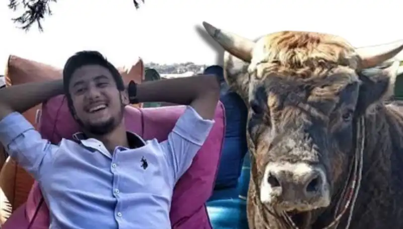 Aydın'da Güreş Boğası Dehşet Saçtı: İki Kişi Hayatını Kaybetti!