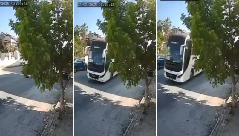 Yolda Yatan Köpeği Ezip Geçen Sürücü, Hayvanseverleri İsyana Sürükledi!