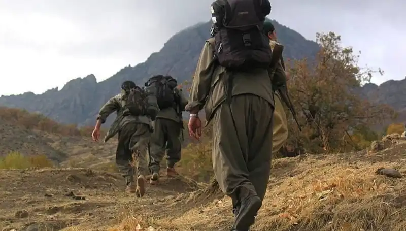 Türkiye'de Terörsüz 48 Saat: Öcalan'ın Kandil'e Gönderdiği Mesajın Önemi Nedir?