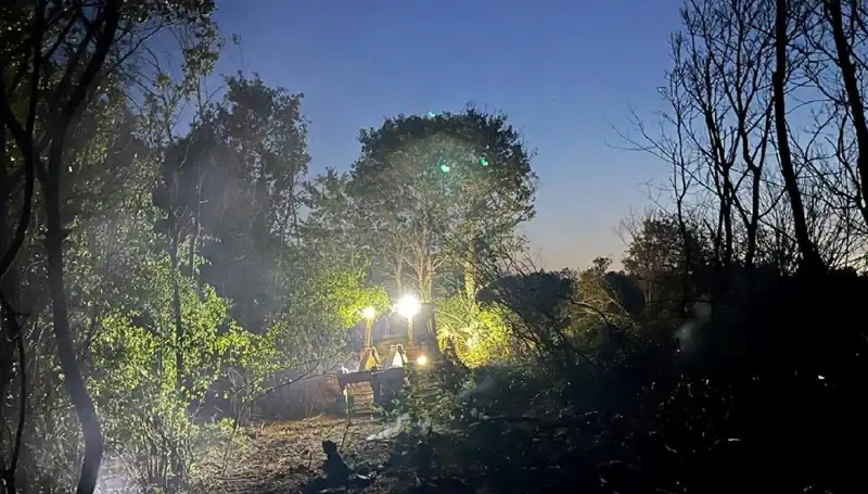 Edirne'deki Orman Yangını: Doğa ve İnsan Mücadelesi Sonunda Kazandı