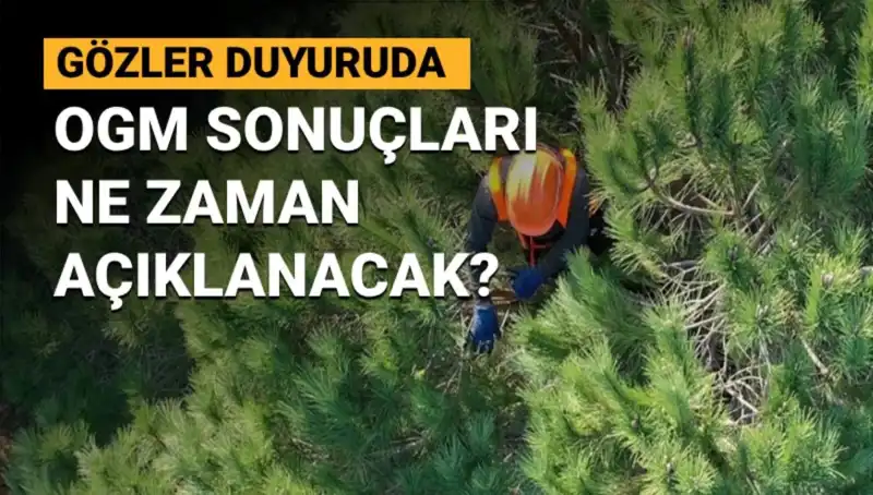 OGM Personel Alımı Duyurusu: 3 Bin 477 Sözleşmeli Personel Sonuçları Bekleniyor!
