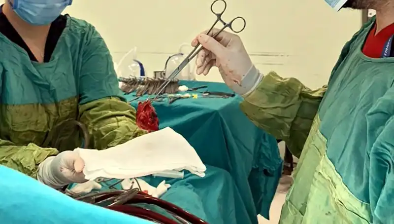 Kalp Kapağı Çürümüş, 7 Saat Süren Ameliyatla Hayat Döndü!