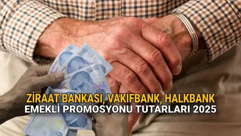 2025 Yılında Kamu Bankaları Emeklilere Hangi Promosyonları Sunacak?