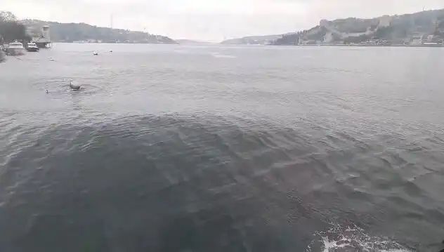 İstanbul Boğazı'nda Dalgalar Yükseliyor: Tüm Şehri Etkileyen Doğal Olay